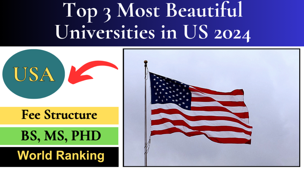 Top 3 Most Beautiful Universities in the US 2024