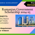 Romanian government scholarship