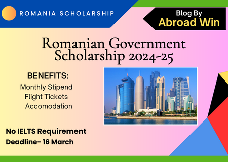 Romanian government scholarship